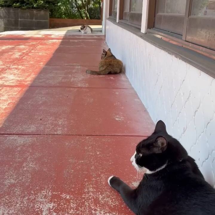 7bbeb898 5a4c 4ac5 abd7 87efce96764c 1756088133466