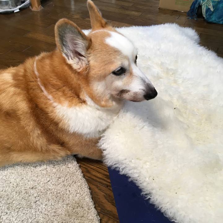 7bbec15c c76b 41bf 9205 e0a5c6aeb49e 1541381319029