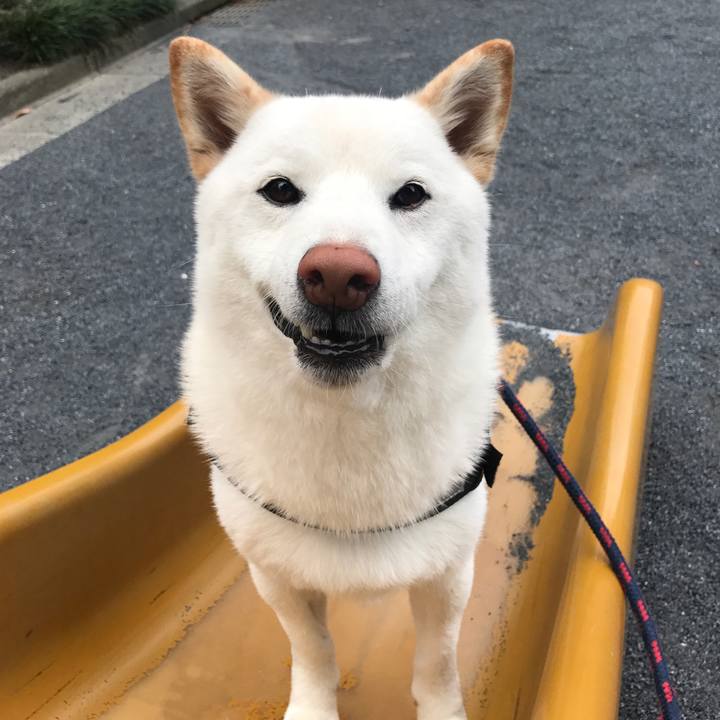 7bbec592 d33a 451d 8316 7e69434b585f 1526514267894