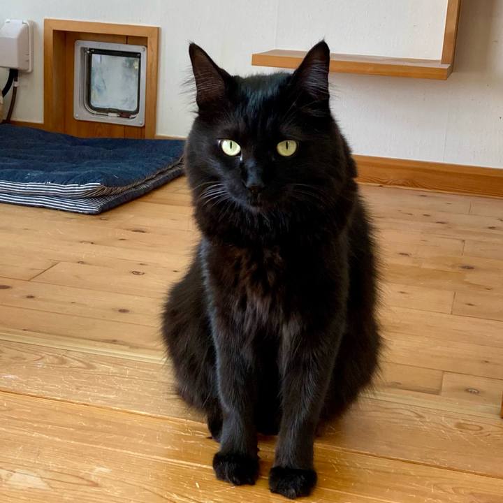 7bbf0a31 f4be 4c09 a538 cea2fb803601 1762657935347