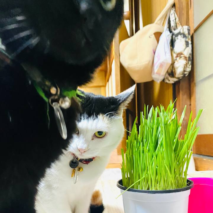 7bbf6301 fc3e 42fc b946 3d481111a0ab 1713262581854