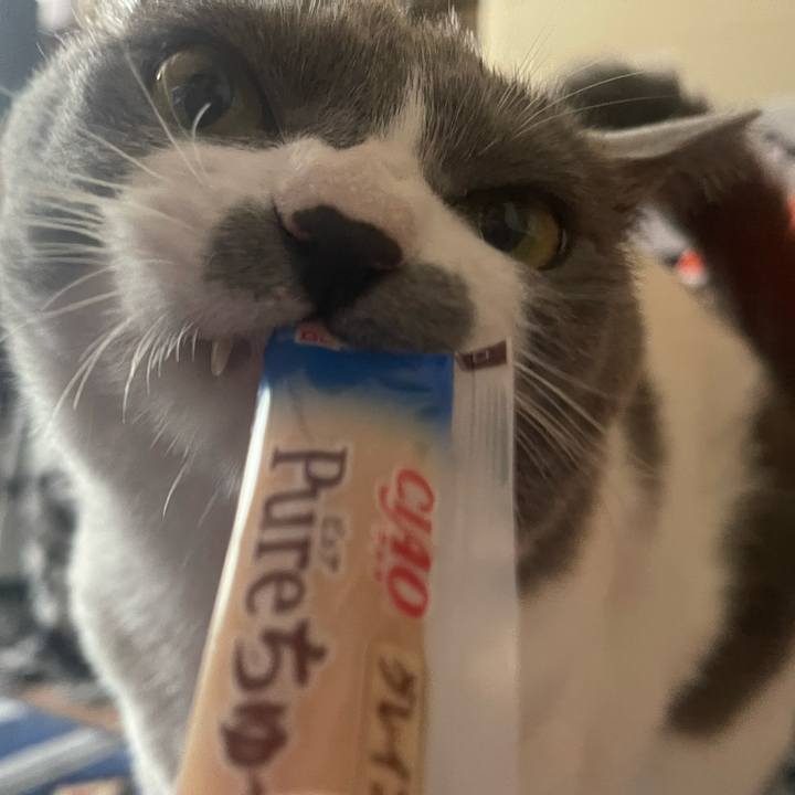 7bbf950b 254d 49e1 aaba 9f278514cf2c 1664522204138