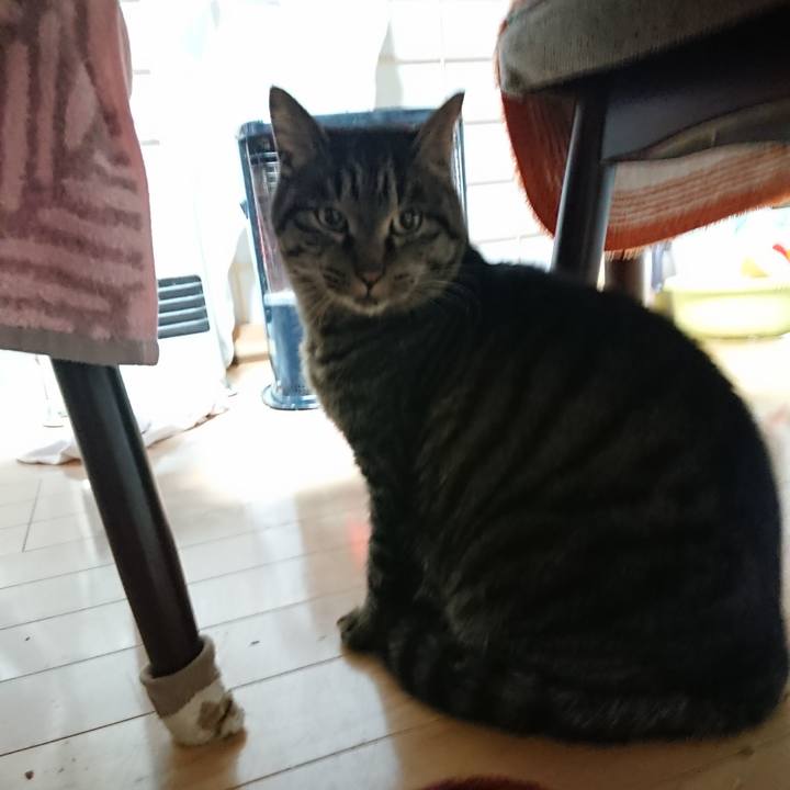 7bbfaf17 c5d6 4fa1 af60 c67fe6b91b11 1638823380982