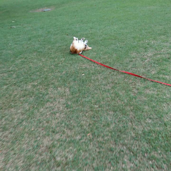 7bbff7f3 aadb 489a 86f4 c0710e1473a2 1534920683045