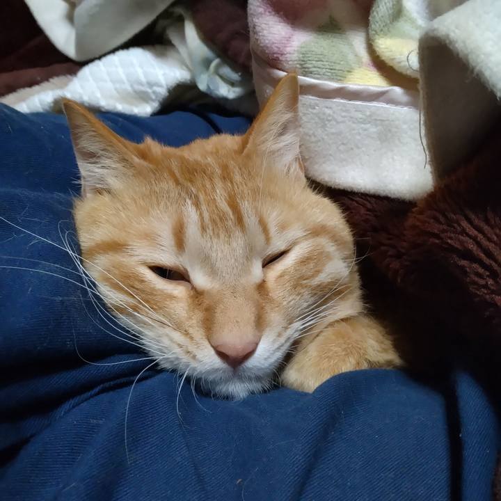 7bc01b77 a82d 4c22 821a b1ae982d0969 1679227428359