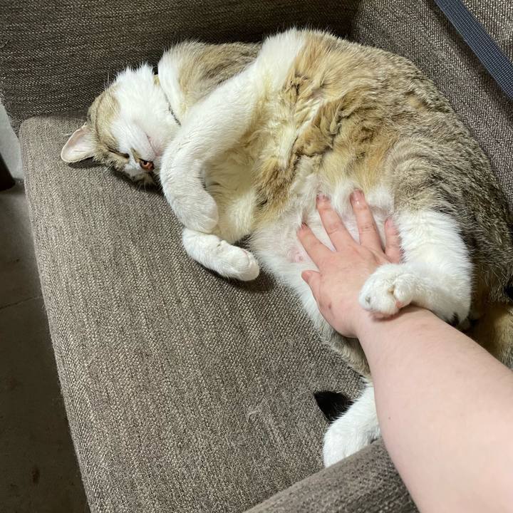 7bc02826 15be 44e8 bbad 4a65f6b3c4cb 1747830882601