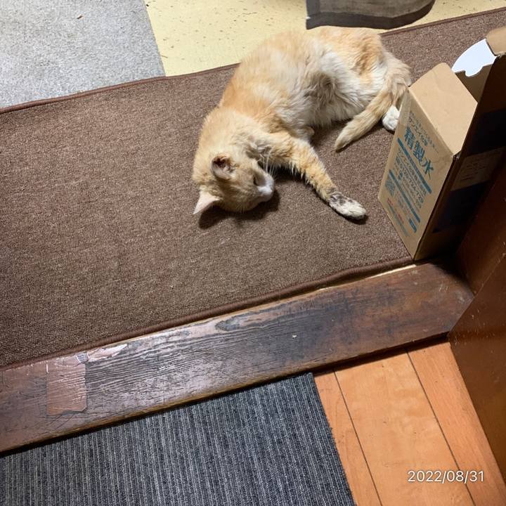 7bc032a1 2ade 407d 8826 1fd2103bd624 1661897218364