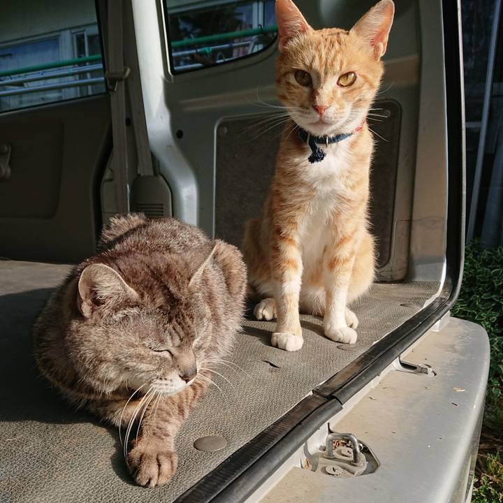 7bc04ea9 d6b8 4b84 ac86 9829292c8e8a 1560808264077