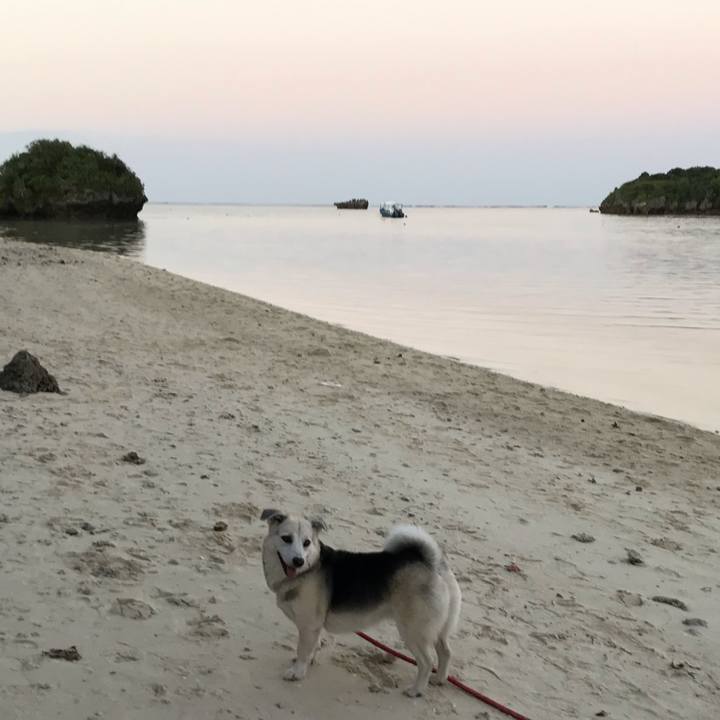 7bc0df2c 89ac 433b acae c584c3265520 1575199130407