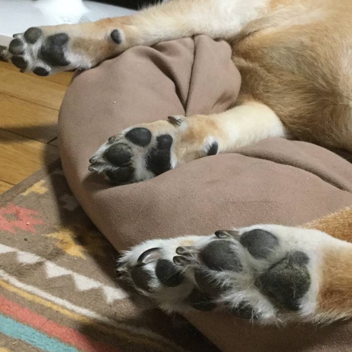 7bc10a48 8840 4ba2 9792 ffac38459824 1562139553170