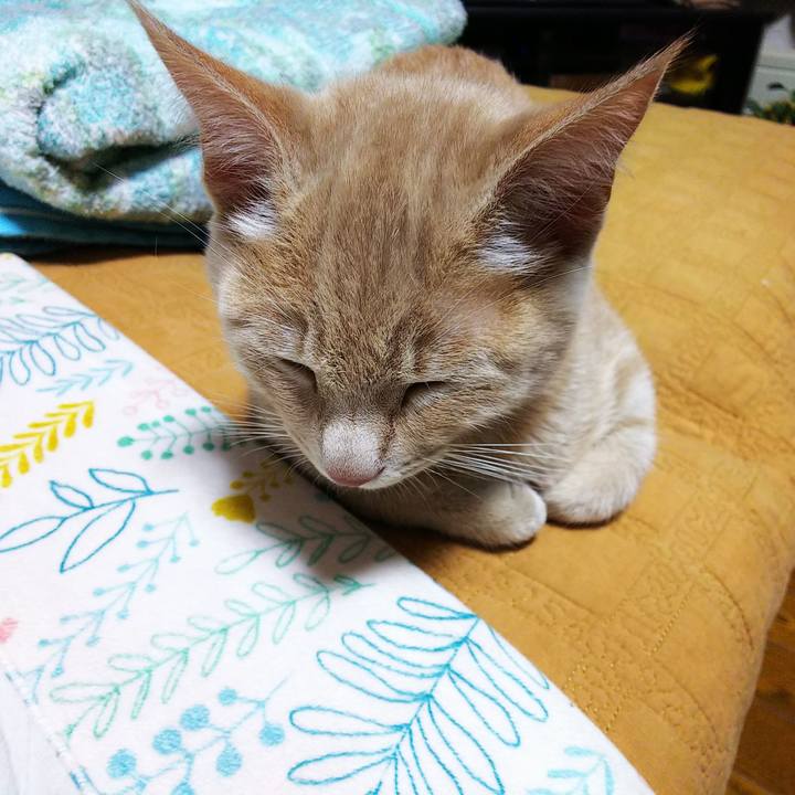 7bc11db4 df96 45c3 bc1e fdecf55a12c7 1544096311160