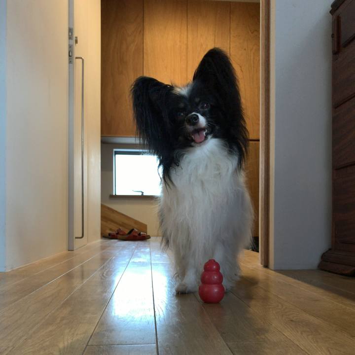 7bc13860 8469 460f a640 26343f0cfc1f 1533461521228