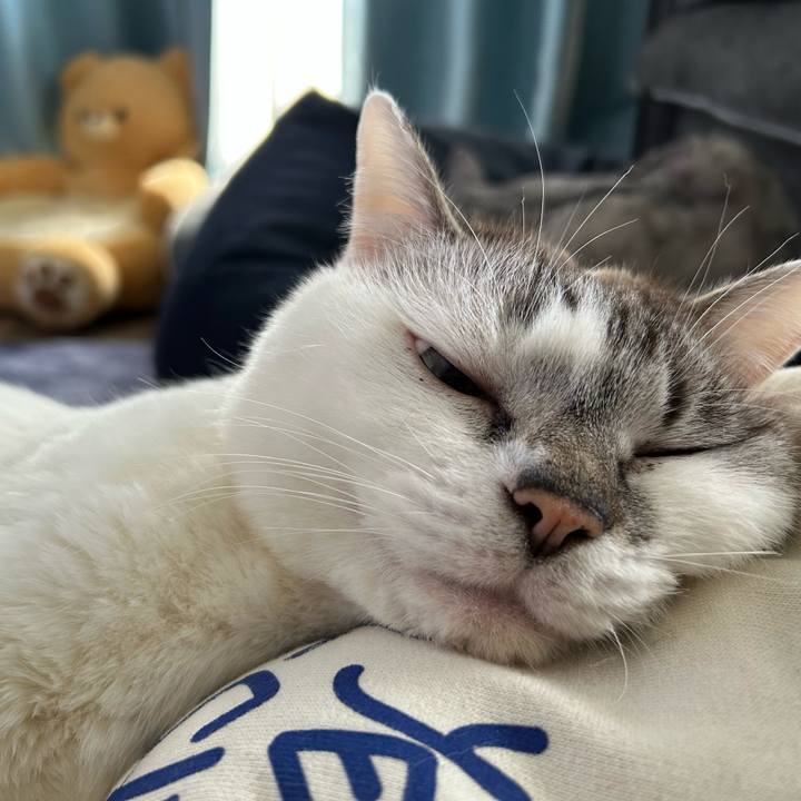 7bc13e38 3cdb 4156 8e14 0902e72ffafc 1739679752677