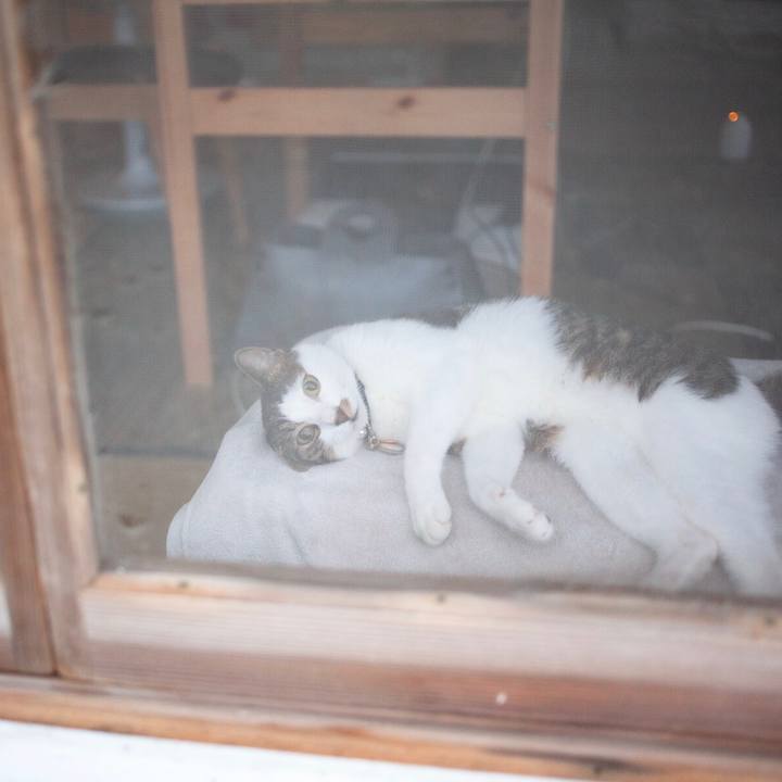 7bc1627c 768b 468d b8f5 43e8cede32d9 1598611865196