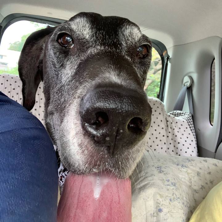 7bc1727e 5f6a 40d0 8206 79fb941af7fe 1599872280532