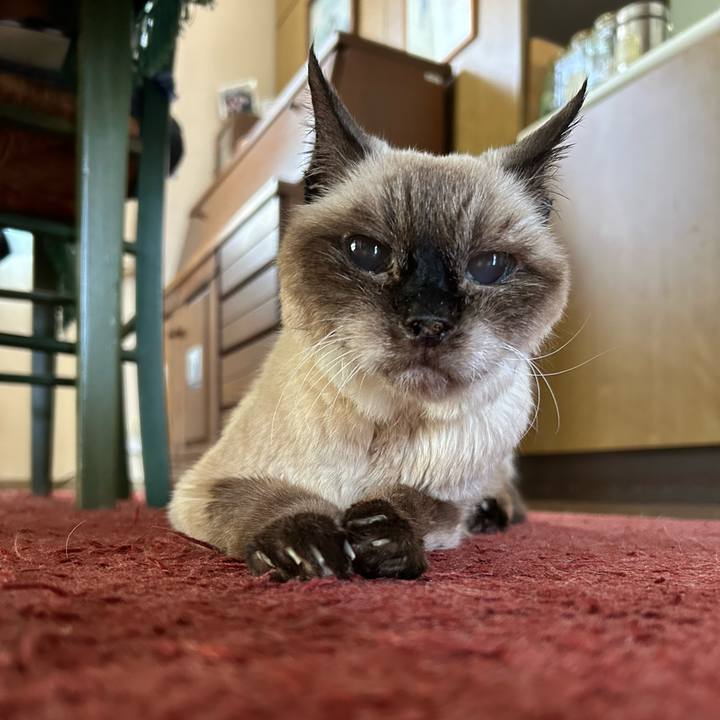 7bc187ff 93c1 4856 b5f3 6e4b6ccc73cb 1718247839267