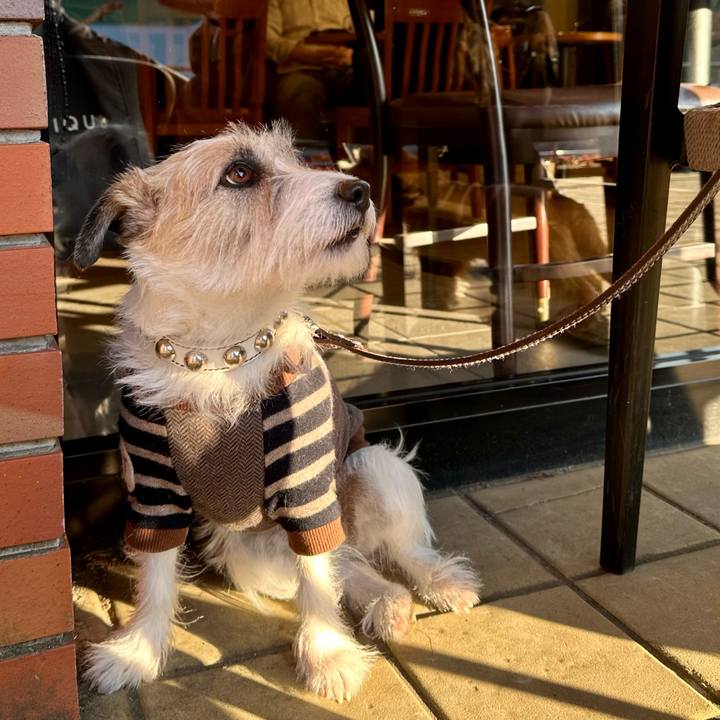 7bc19aab 7753 49b1 b4f4 c23486046bb7 1737813592042