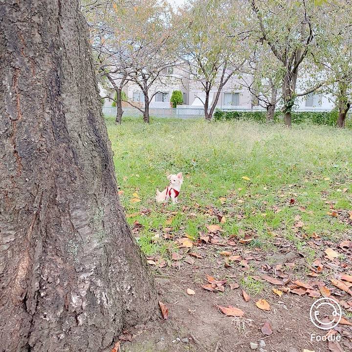 7bc1b3c4 b5cb 4c57 a97b 6211dafc9a12 1603345176841