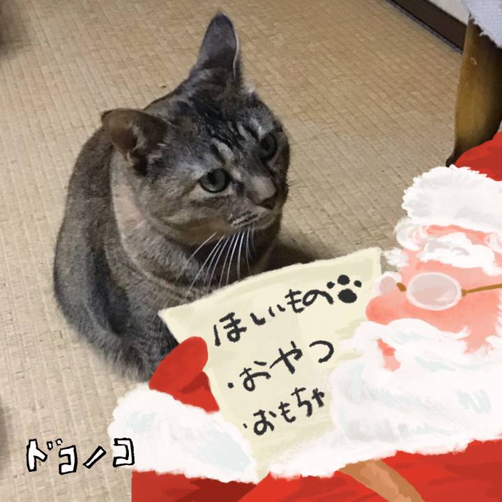 7bc1c12b 57de 43f2 a47a 84460daecaf3 1729250328372