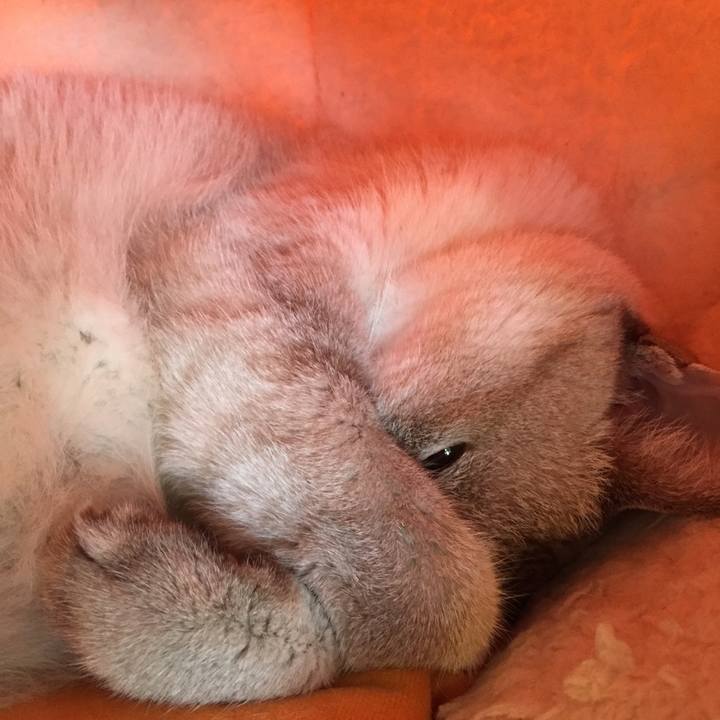 7bc1c80a 791c 4d93 82fe 8e17bb945d40 1537672348977