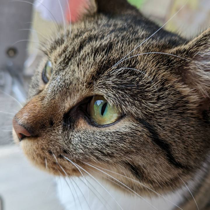 7bc1d237 063f 4967 9105 82e299caeffd 1690035147952