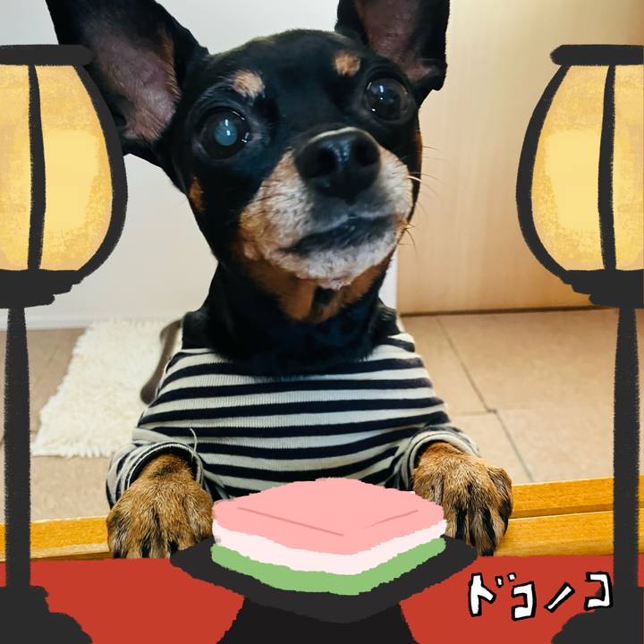 7bc214bd f55d 486b ad47 ddf74939c9ae 1741265433205