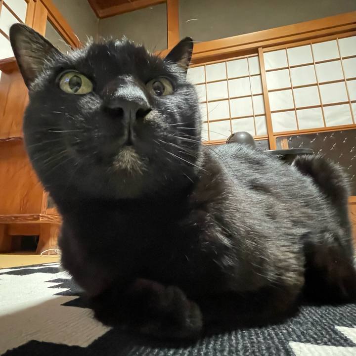 7bc2185a 520a 4f81 b668 baf3336f3b55 1773782421208