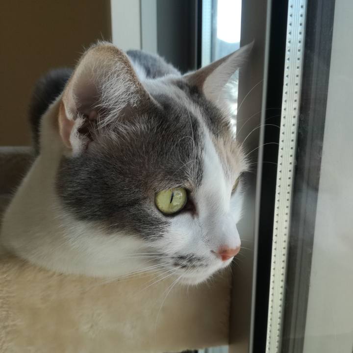 7bc23d30 a349 4a5c 8822 26606b69c684 1552459849916