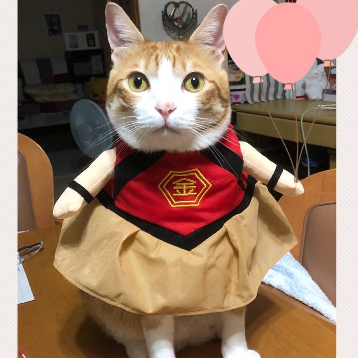 7bc281a7 4c23 47a3 a378 9ef9bdf8202c 1536365548103