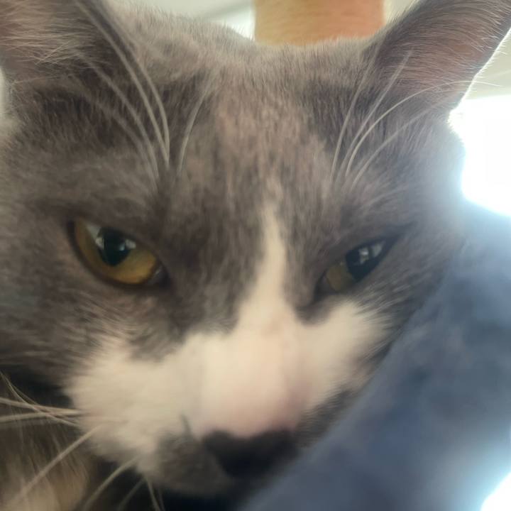 7bc294a3 4c02 4bc5 8450 694aeea502b1 1733787520524