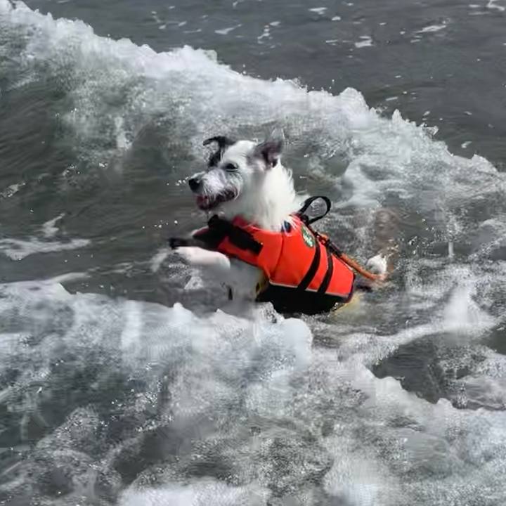 7bc2bae9 1e17 4f29 9bc3 55ce18248d1a 1660266786173