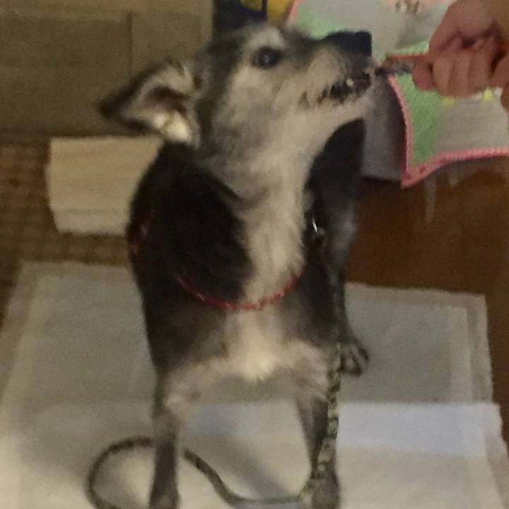 7bc2c2f3 b97a 4228 ae17 8366141e9244 1573080891556