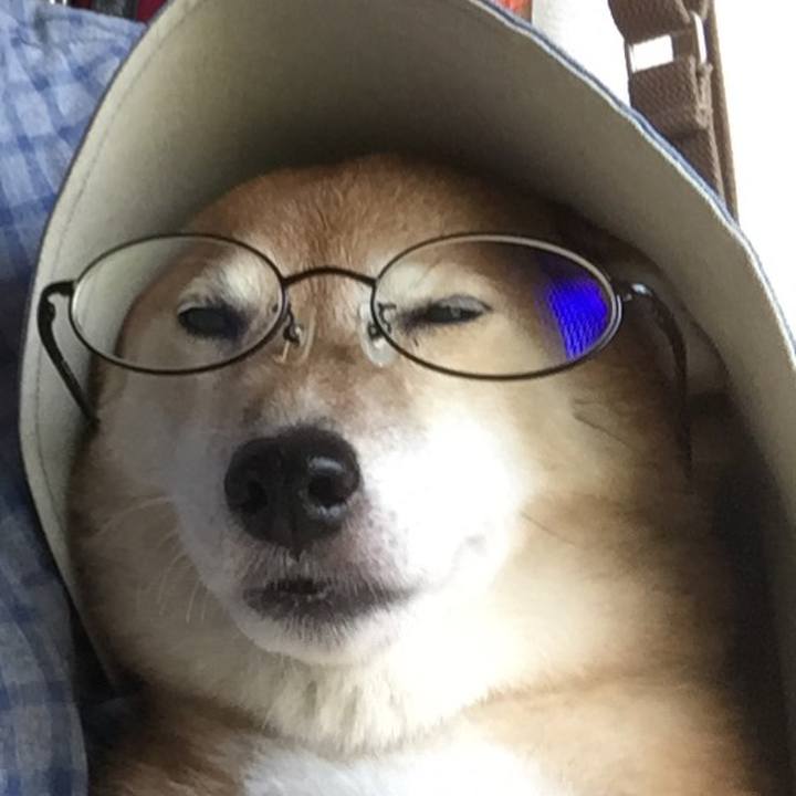 7bc2f6dd def9 4fb2 a671 cf1d8fc36305 1595122099155