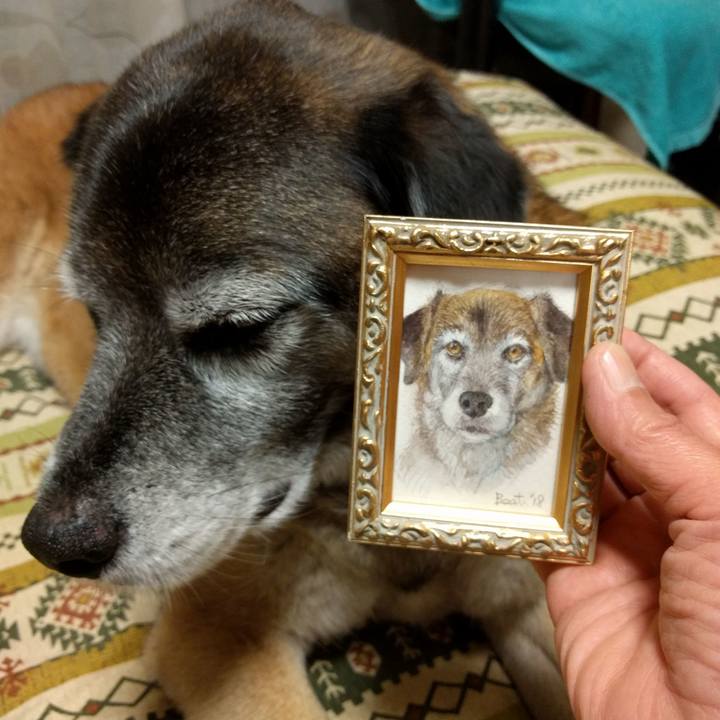 7bc2ffd2 4623 47bd 901c 1f130286ccbe 1526038637862