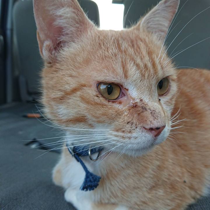 7bc336d3 7e01 4bce 8cea c4a2941c33a4 1558689613073