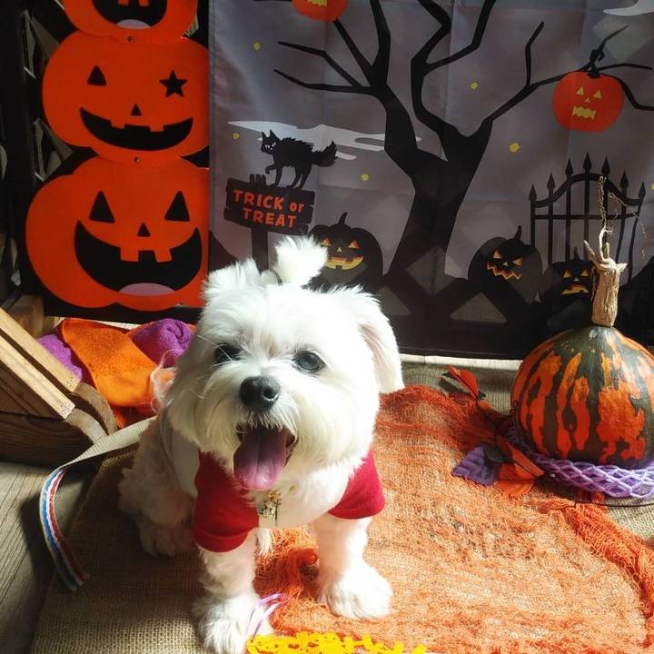 7bc36be9 d6ac 424a a9b2 57bdc40c6cc2 1698746008668