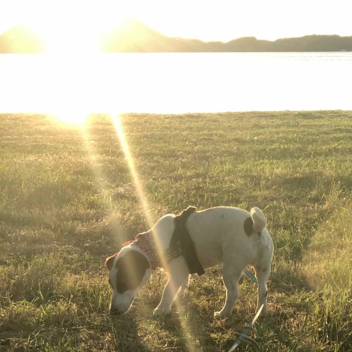 7bc374c1 166d 4fbf 9435 b68624dcdfd0 1593685863064