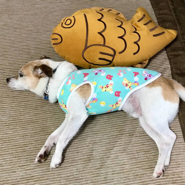 7bc38ecd 2052 4523 bc9c 9ae76b6b1ff8 1662531304313