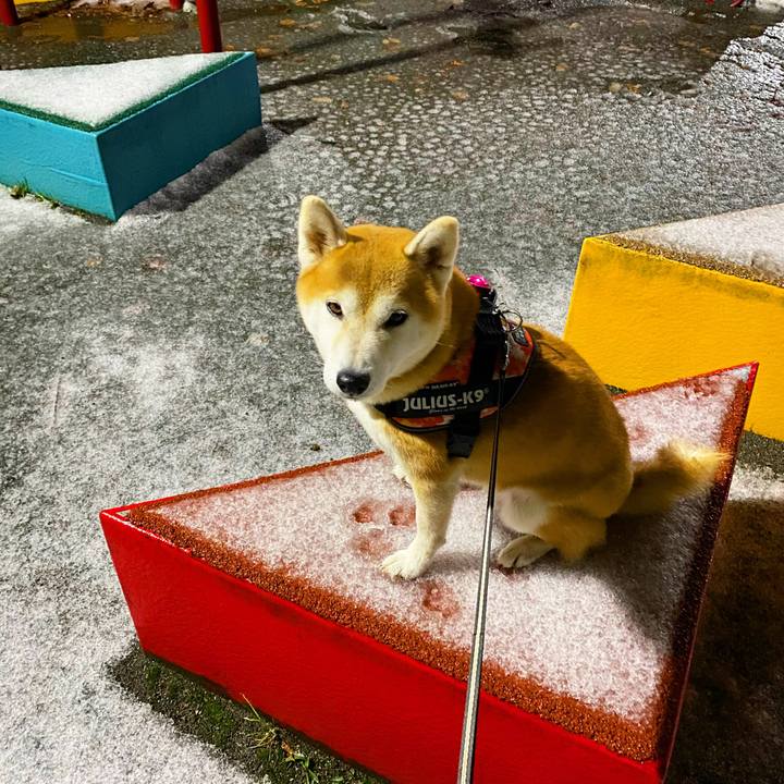 7bc3cb0b 04dc 4fa0 bb83 d0ac5282e141 1604916430899