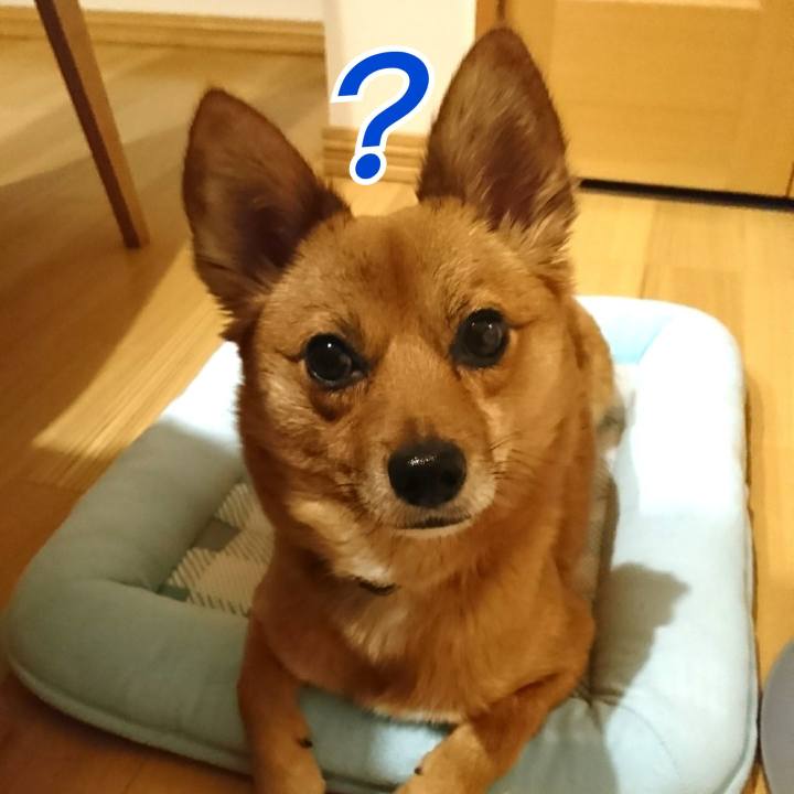 7bc3ebd7 7dd0 491c a74d ed2fb70cc201 1520657902830