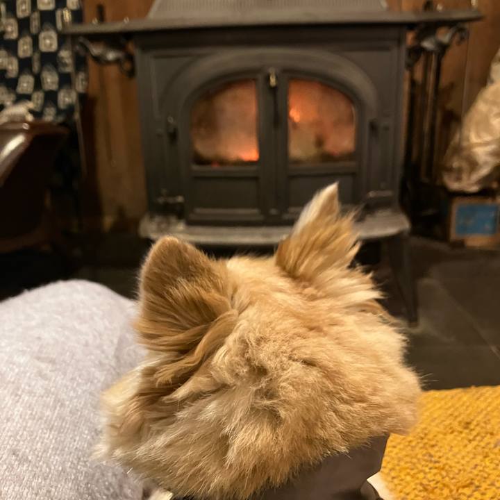 7bc3fad7 261e 4c1e 836b b77d13098e70 1766957464466