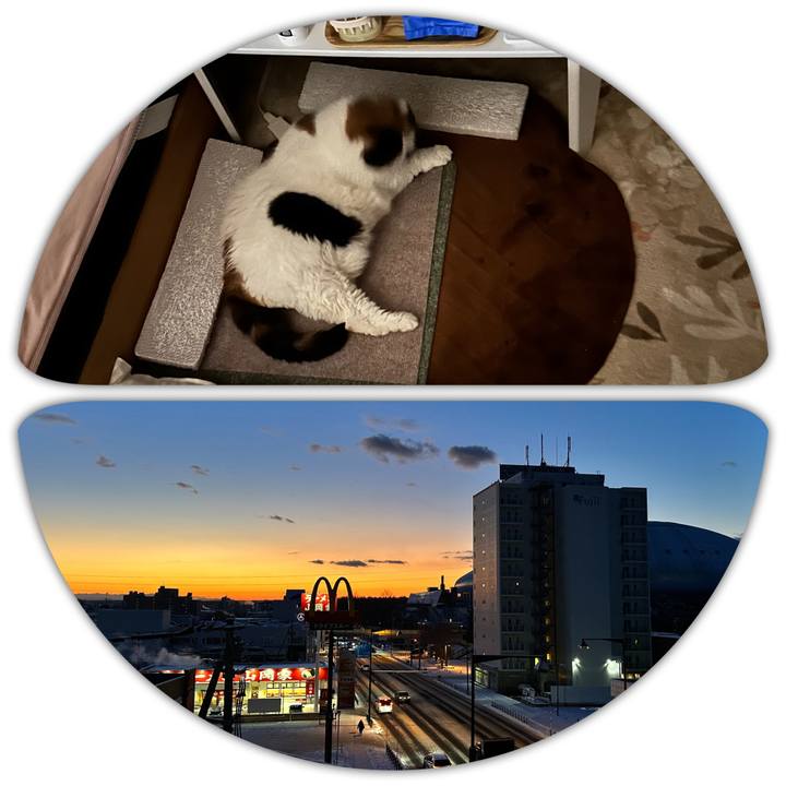 7bc40949 fdc7 446b 8160 8721c393db1c 1734385734904