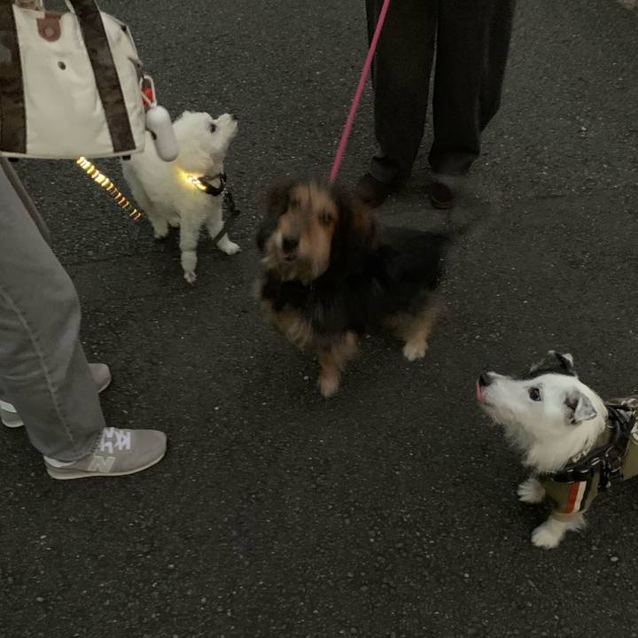 7bc41e05 7f80 49c1 8464 254ec6d8b452 1731571805624