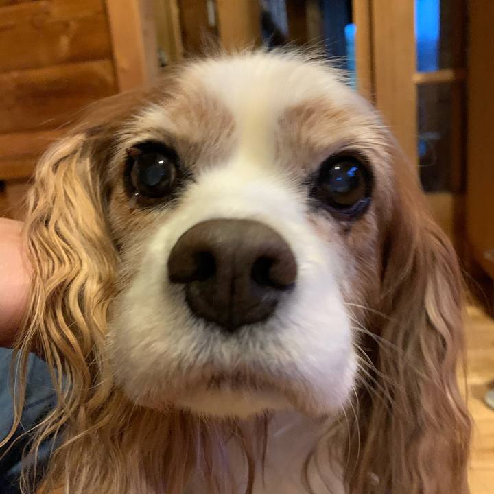 7bc43fbd 2924 4d04 9b53 38b3009a0c74 1607726992565