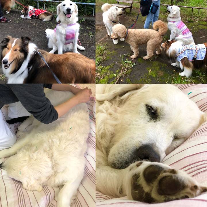 7bc446d8 cd60 4e97 9f65 026096447df3 1538751542510