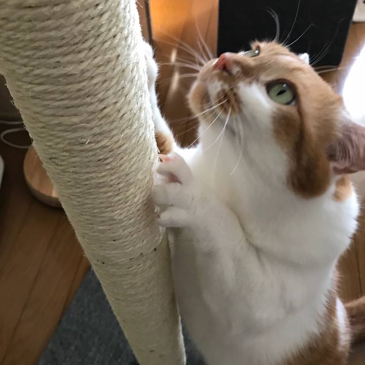 7bc44cf1 5ba2 4c79 a06d 1c87d1b81a10 1526283571071