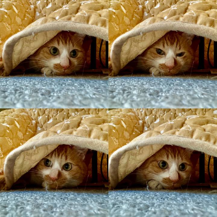 7bc4604e dda9 4f4a 8b17 5e05baf647cd 1765161724626