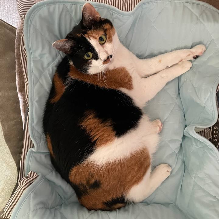 7bc4683d 9555 4a27 aeca d64ed5ea1c36 1719986602719