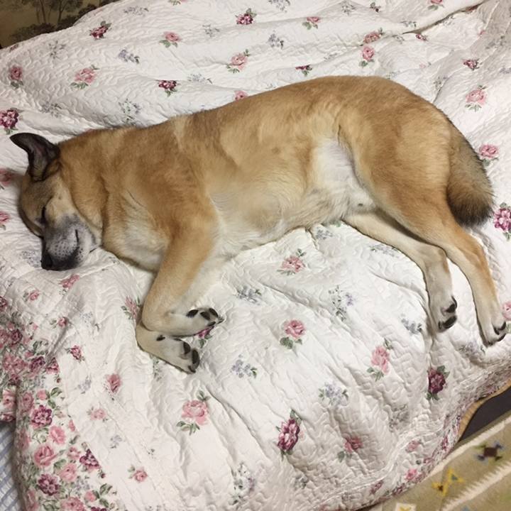 7bc46f48 7ec9 4e5e abea 2358bb510572 1558612758351