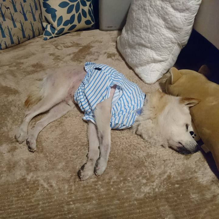 7bc4893e 7fa4 412e 87d3 5e3528003ff9 1525609154075